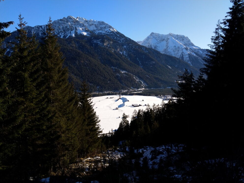Waldspaziergang zum Baichlstein mit Blick auf Vorderhornbach.