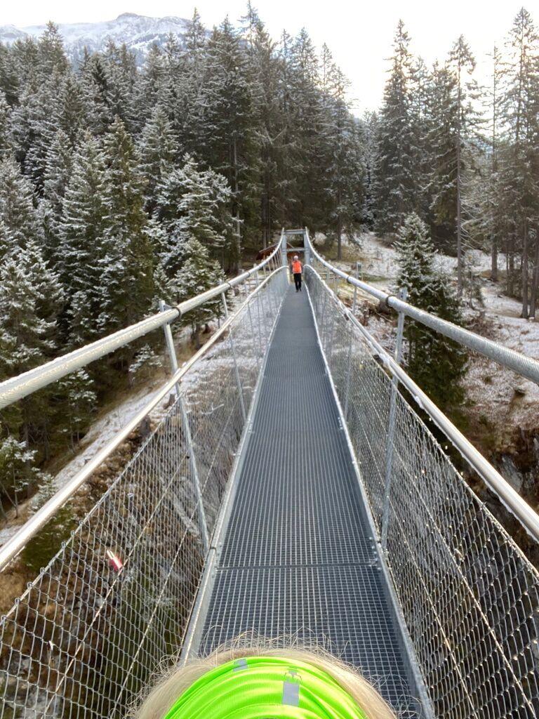 Hängebrücke am Morgen mit leichtem Frost und Frühtau.