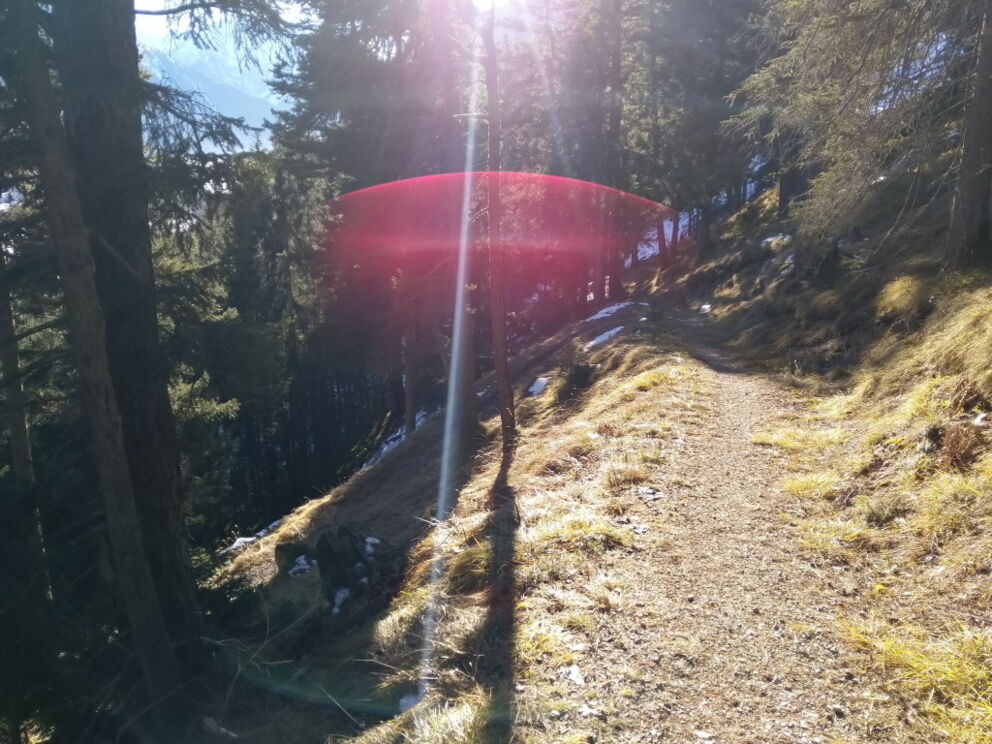 Gemütlich und nicht zu anstrengend geht es entlang den Serpentinen.