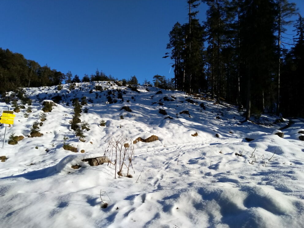 Letzte große Abzweigung zum Baichlstein.