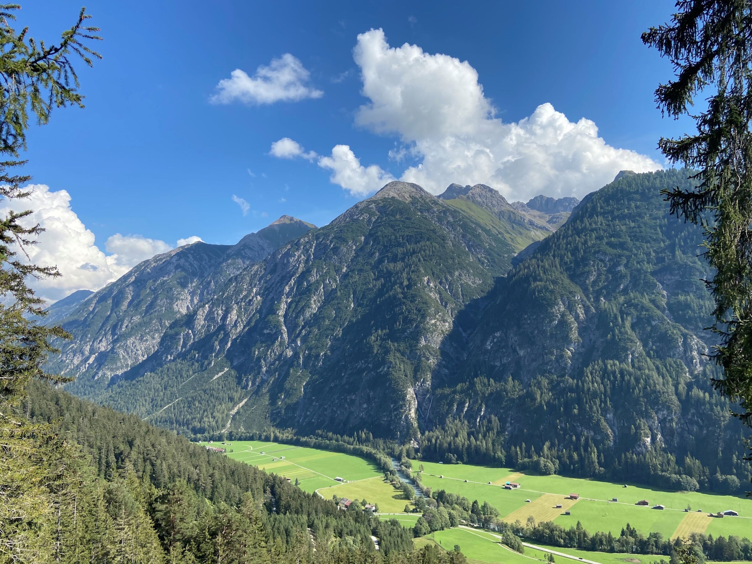 Wandern im grünen Sommer durch Wälder, Wiesen und schönen Wanderwegen.