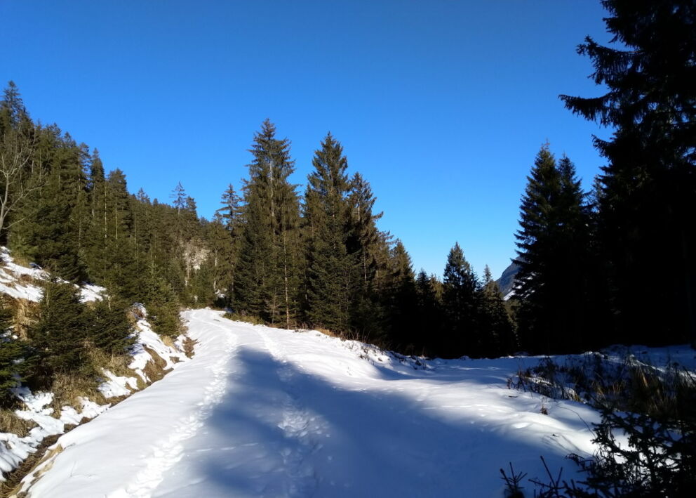 Sofern nichts anders Markiert ist geht es immer gerade aus zum Baichlstein.