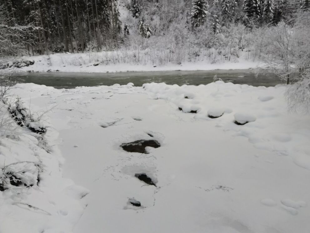 Winterwandern im Lechtal mit der Alternativwanderroute Höhenbach in Holzgau.