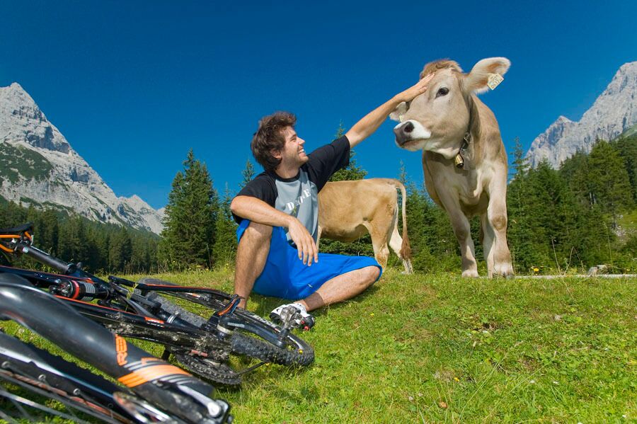 Mit dem Fahrrad auf die Alm radln und die beeindruckende Natur bei einer Pause auf der Almwiese genießen.
