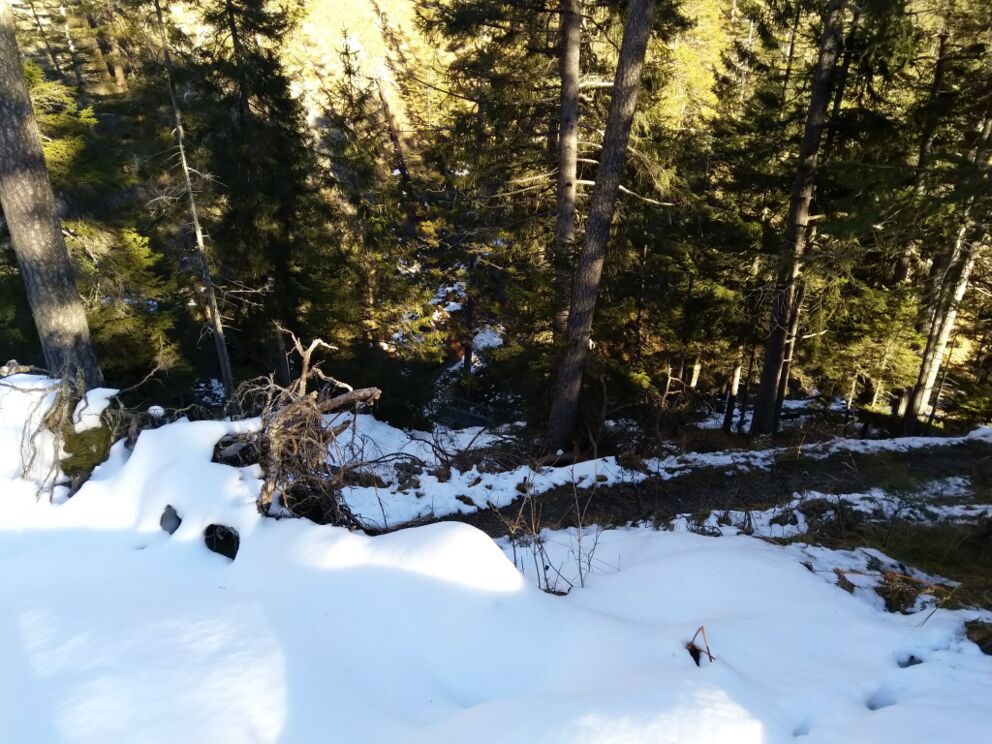 Ein Serpentinenabstieg auf dem Höhenweg Baichlstein.