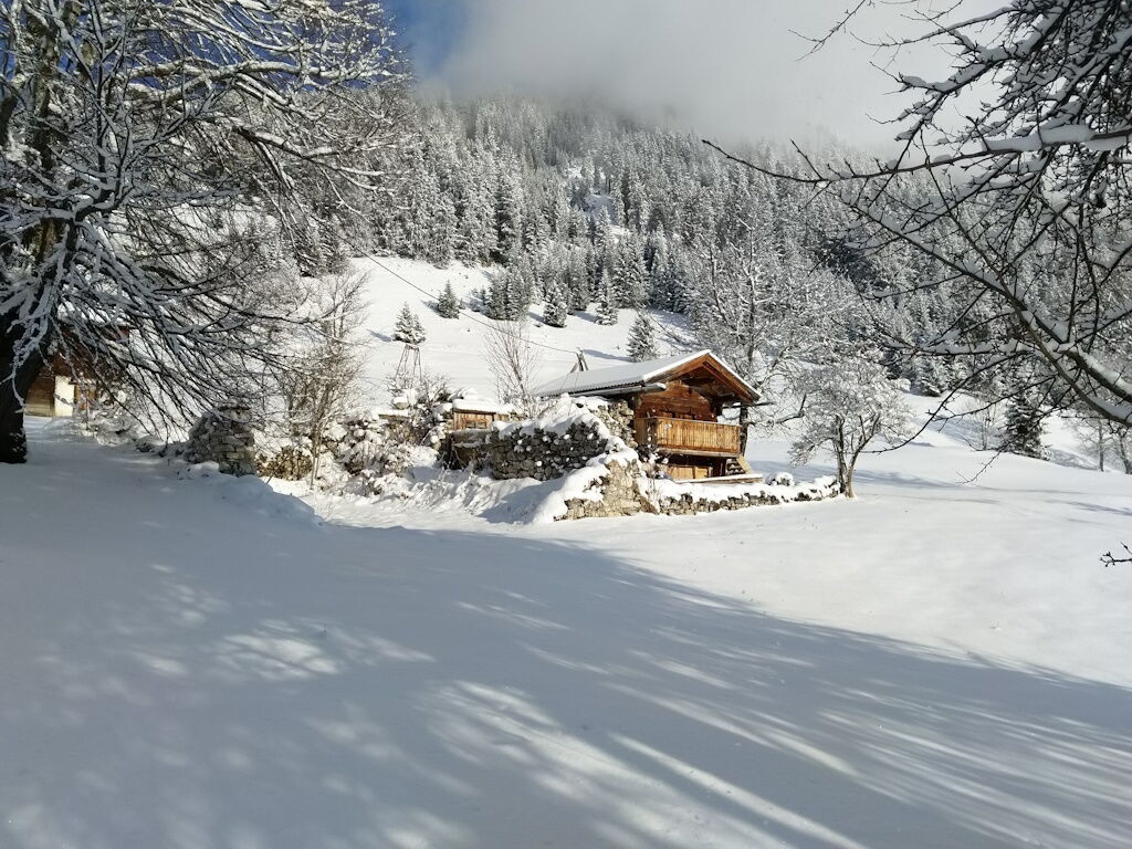 Tiefschneewandern in Holzgau mit den Schneeschuhen bei Sonnenschein.