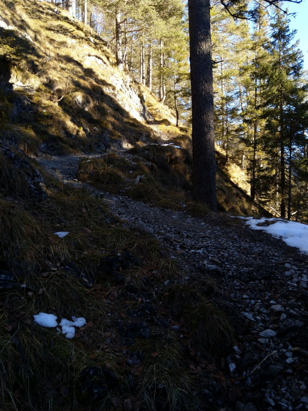Aufstieg zur Panoramaaussicht über Vorderhornbach.