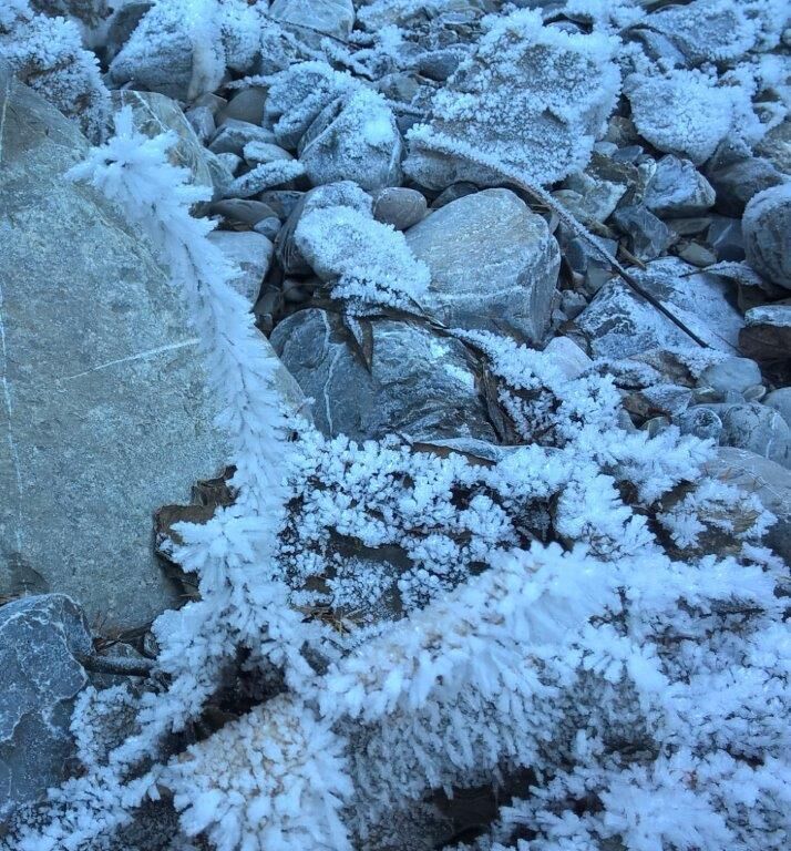 Nadelförmige Eiskristalle auf den kleinen Ästen sind zu entdecken bei anhaltender Kälte.