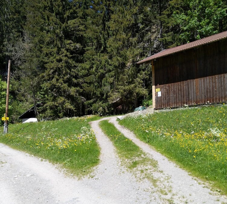 Wanderkombination zur Fußgängerhängebrücke in Holzgau über den Mühlwaldweg.