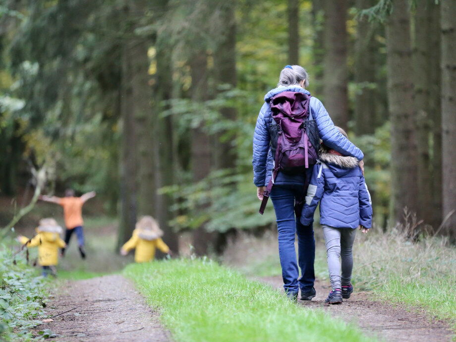 Wandern im Naturpark-Lechtal mit der Familie und Wandergruppen durch den Wald.