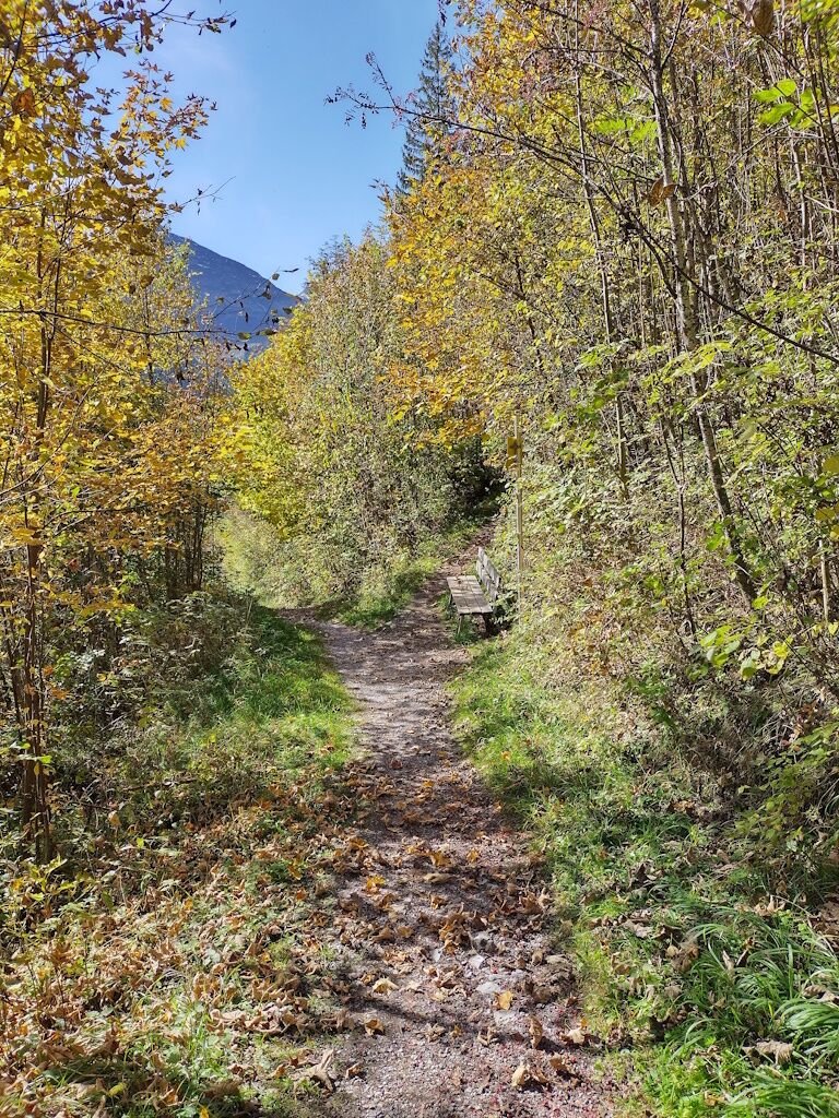Wandern in Holzgau im goldenen Herbst durch schöne Blätterwälder in Ortsnähe.