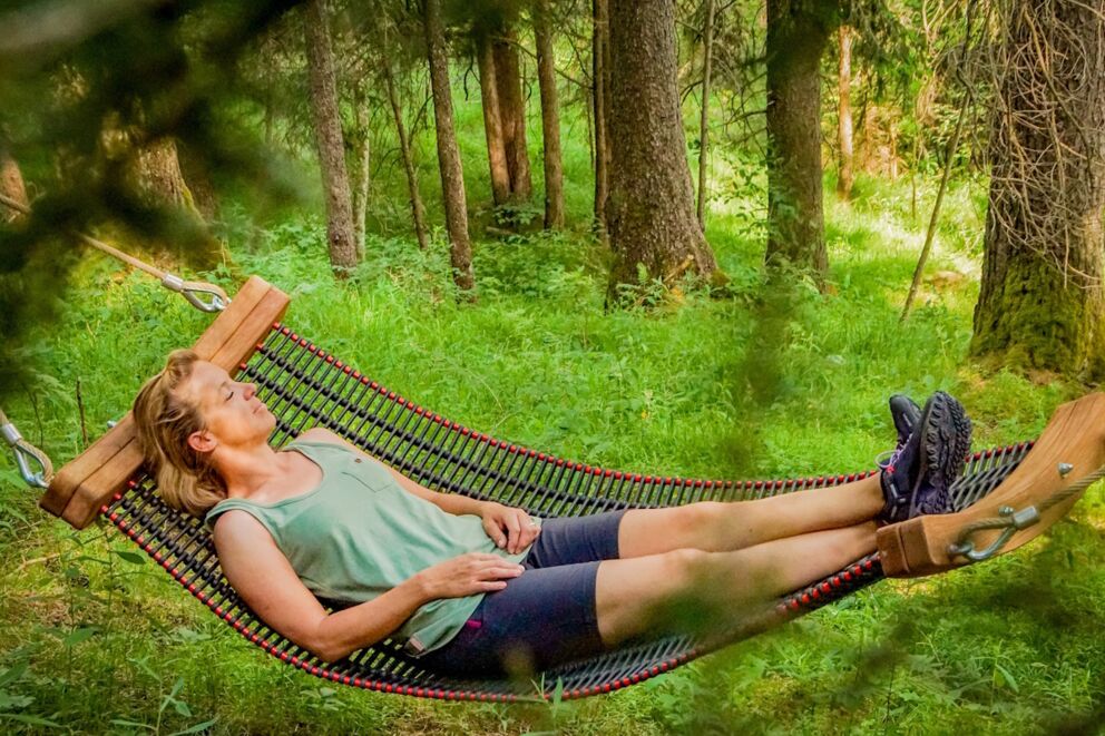 Sommer im Wald genießen und vom Duft des Waldes inspirieren lassen.
