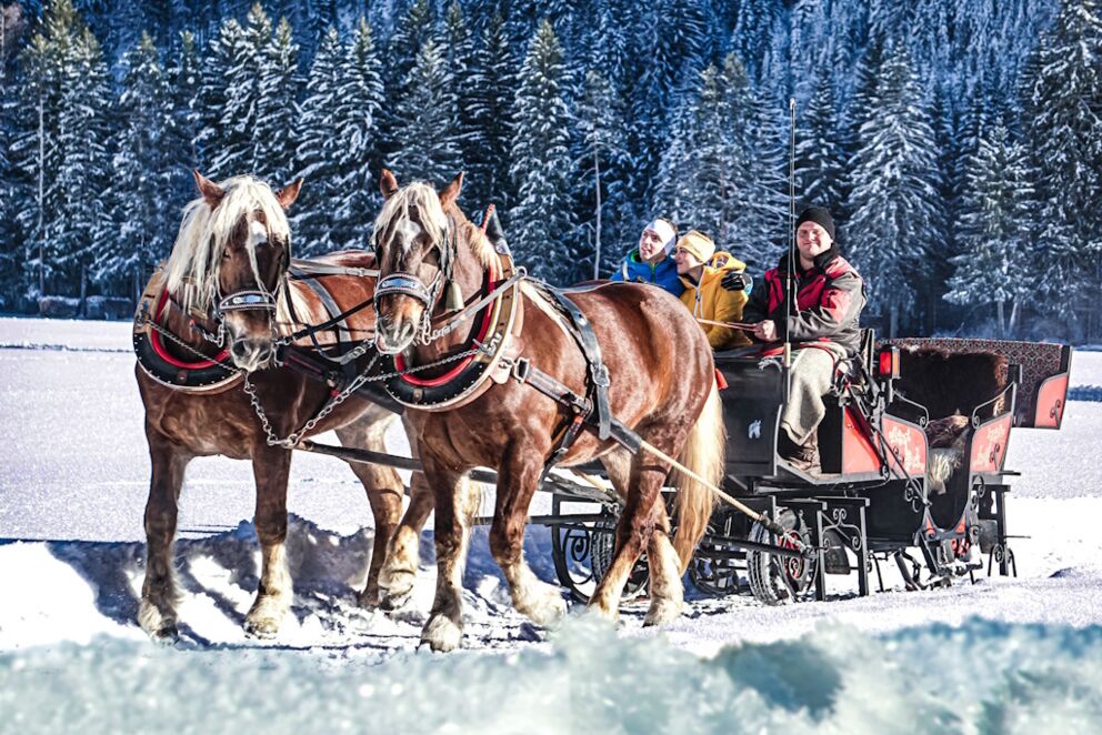 Kutschenfahrten mit Charme im Naturpark-Lechtal mit Florian