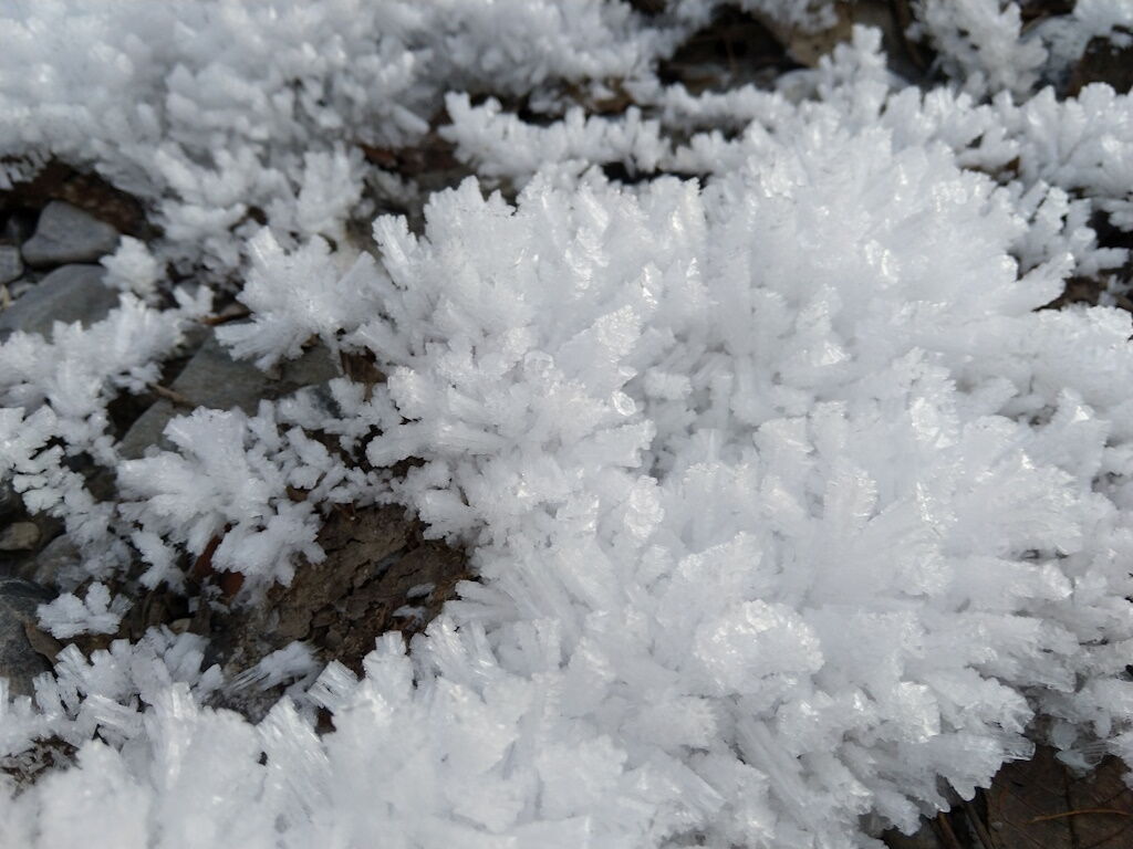 Raureifüberwucherung in den schattigen Plätzen des Lechtales im Vorwinter.