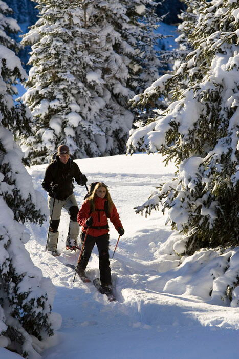 Die Natur mit den Schneeschuhen erkunden und wunderschöne Impressionen der Landschaft sammeln.