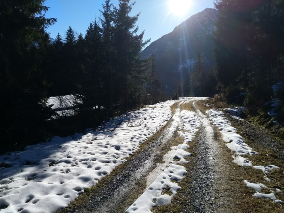 Wandern auf der Forststraße im Vorwinter auf den Baichlstrein.
