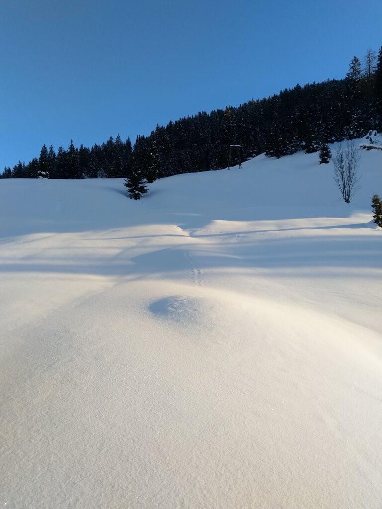 Wandern mit den Schneeschuhen durch den Tiefen Schnee.