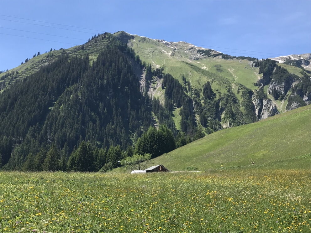 Wandern entlang der Flora und Fauna im Lechtal im Frühsommer.