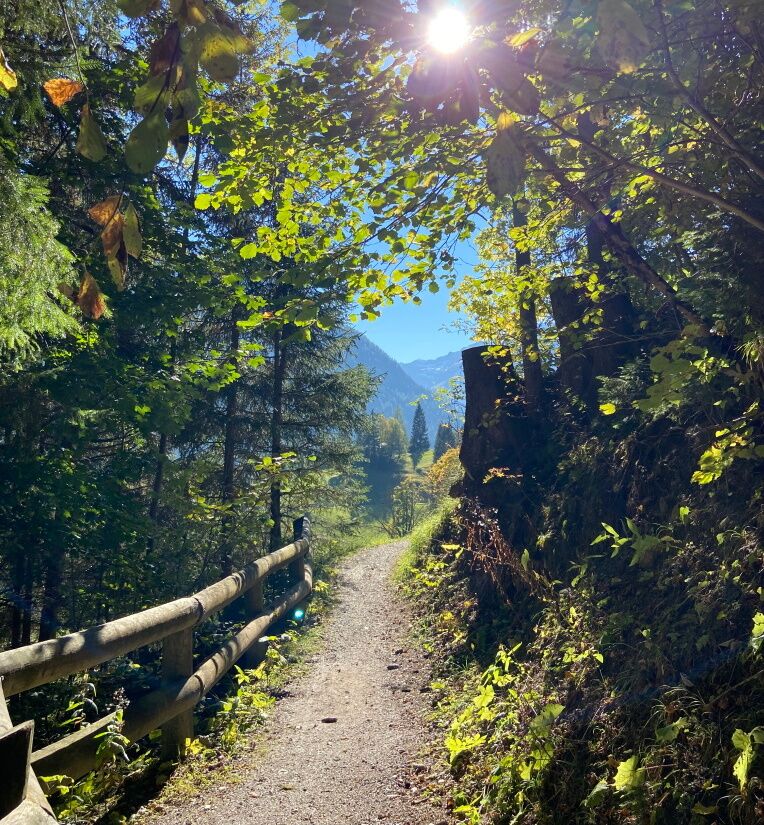 Herbstwandertage nutzen und mit der Heilschnapsverkostung von LECHMED und der Dorfstube in Holzgau kombinieren.