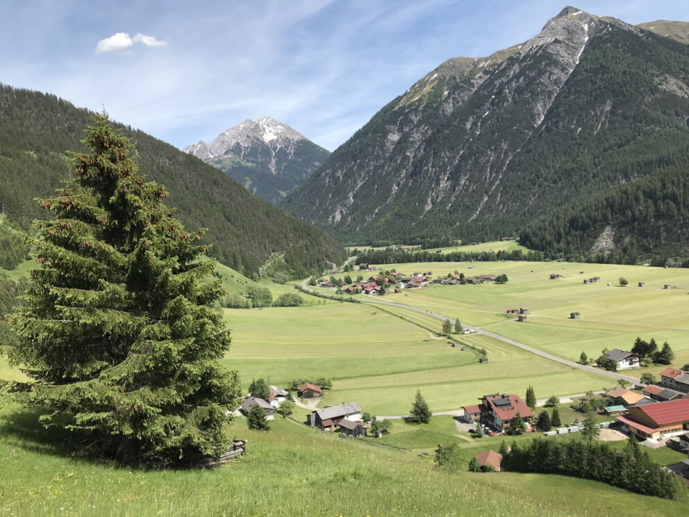 Bei angenehmen Temperaturen und Sonnenscheinwandern im Frühsommer im Naturpark Lechtal.