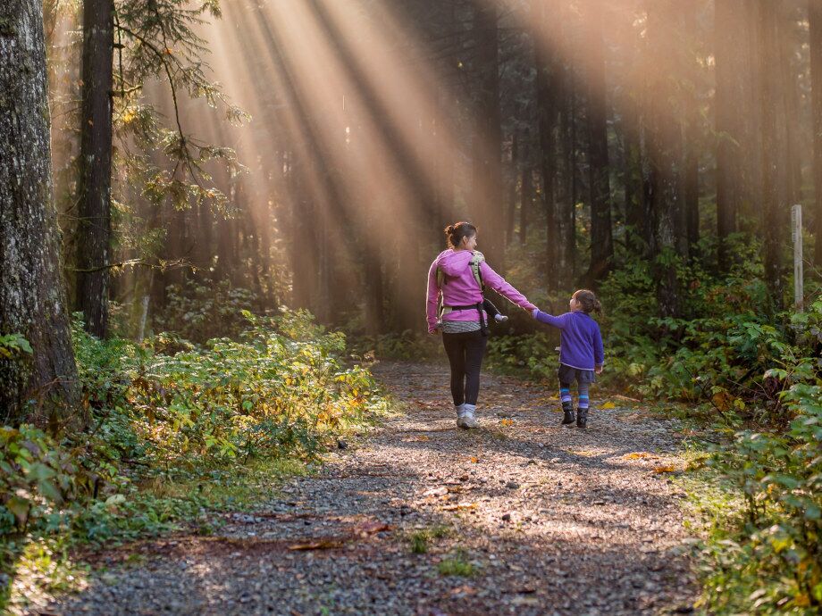 Zielwandern durch den Wald, entlang den Forstwegen im Lechtal mit dem Kind.