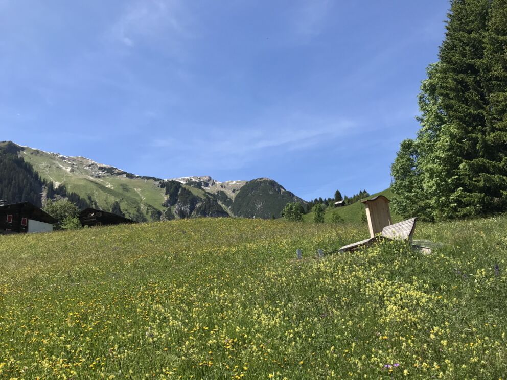 Entspannen inmitten einer Kräuterwiese in Holzgau im Frühsommer.