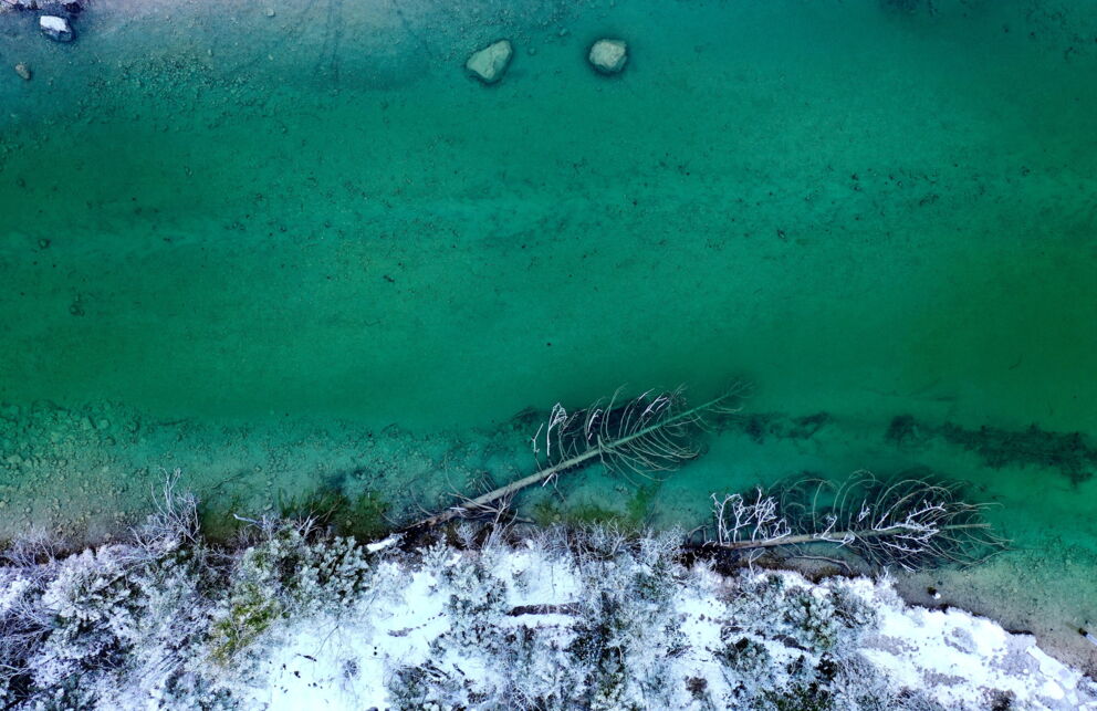 Winterlandschaft nahe am Fluss im Raureif.