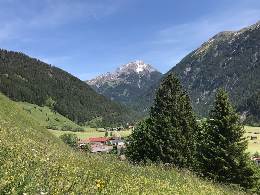 Wandern in Holzgau entlang den Kräuterwiesen nahe der Ortschaft.