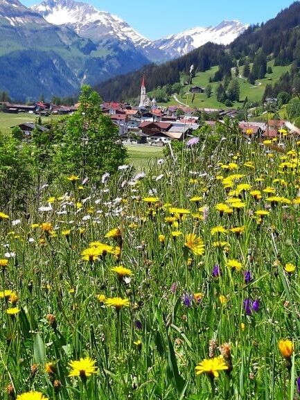 Im Sommer blühen die Kräuterwiesen in Holzgau.