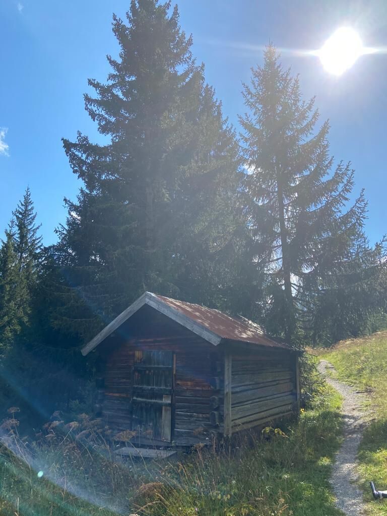 Wandertipp der Dorfstube über den Hager nach Steeg vorbei an verschiedenen alten Heupillen und bunten Herbstfarben.