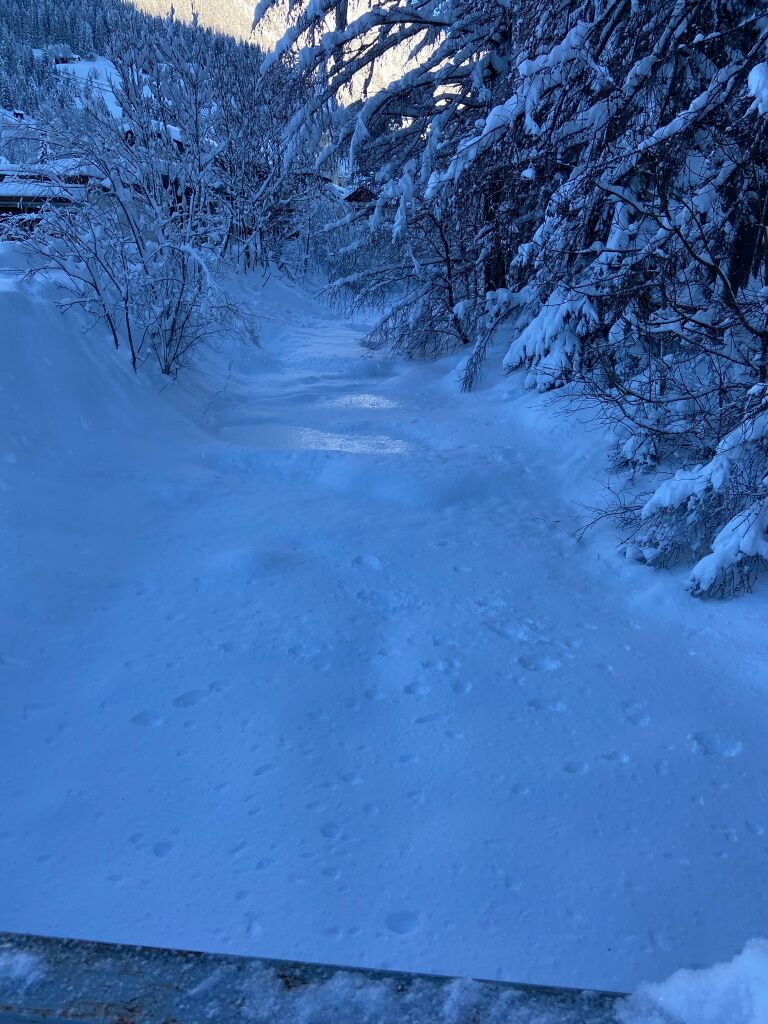 Alternative Winterbeschäftigung Impression sammeln am schneebedeckten Höhenbach.