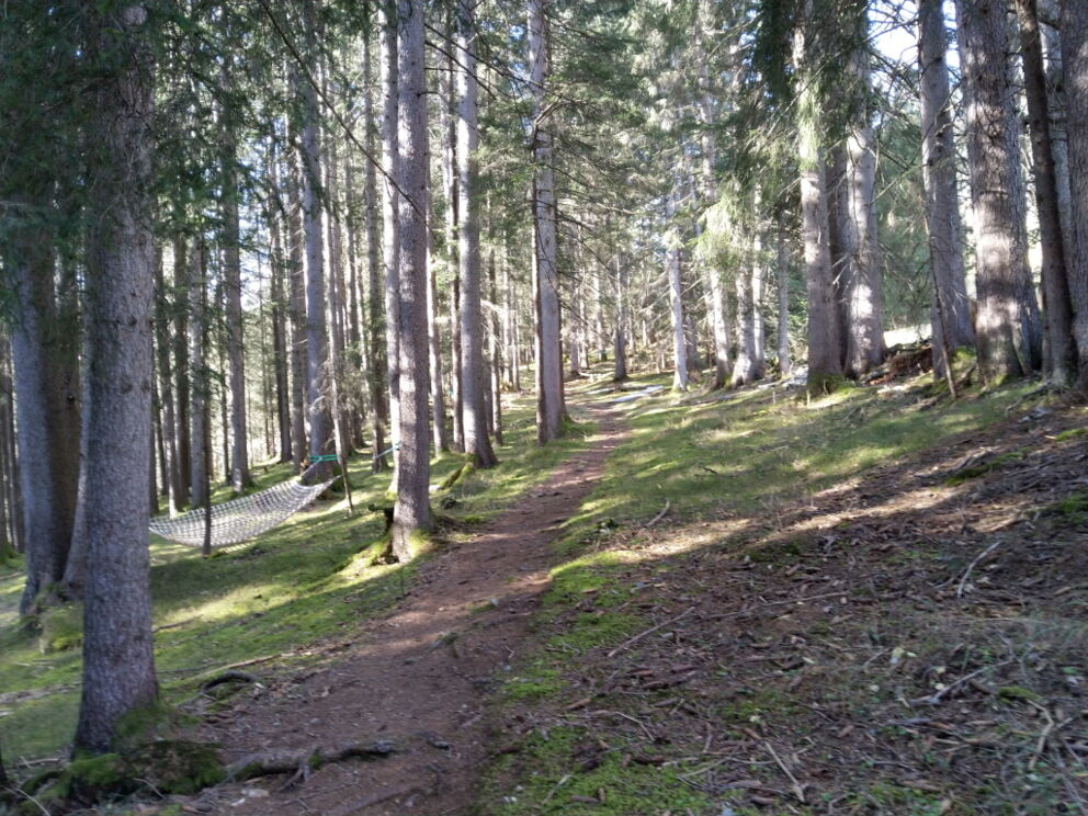 Wandern entlang dem Wald-Spa in Holzgau dem besinnlichen Teil des Vital-Weges.
