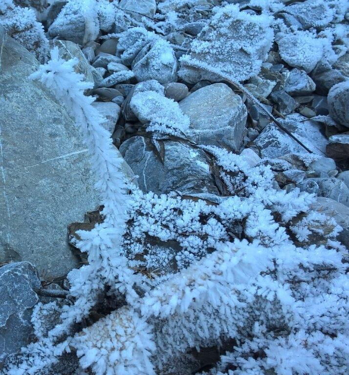 Nadelförmige Eiskristalle auf den kleinen Ästen sind zu entdecken bei anhaltender Kälte.