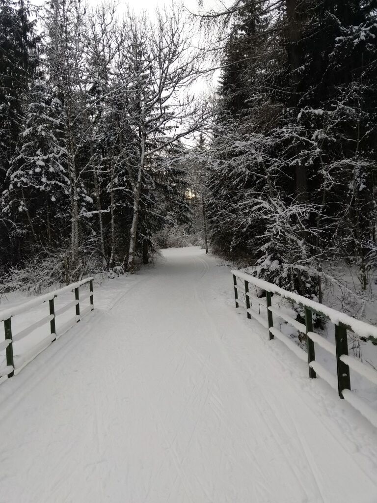Langlaufstrecke, Skating Spur, Winterwanderweg der letzten Höhenbachbrücke in Holzgau.