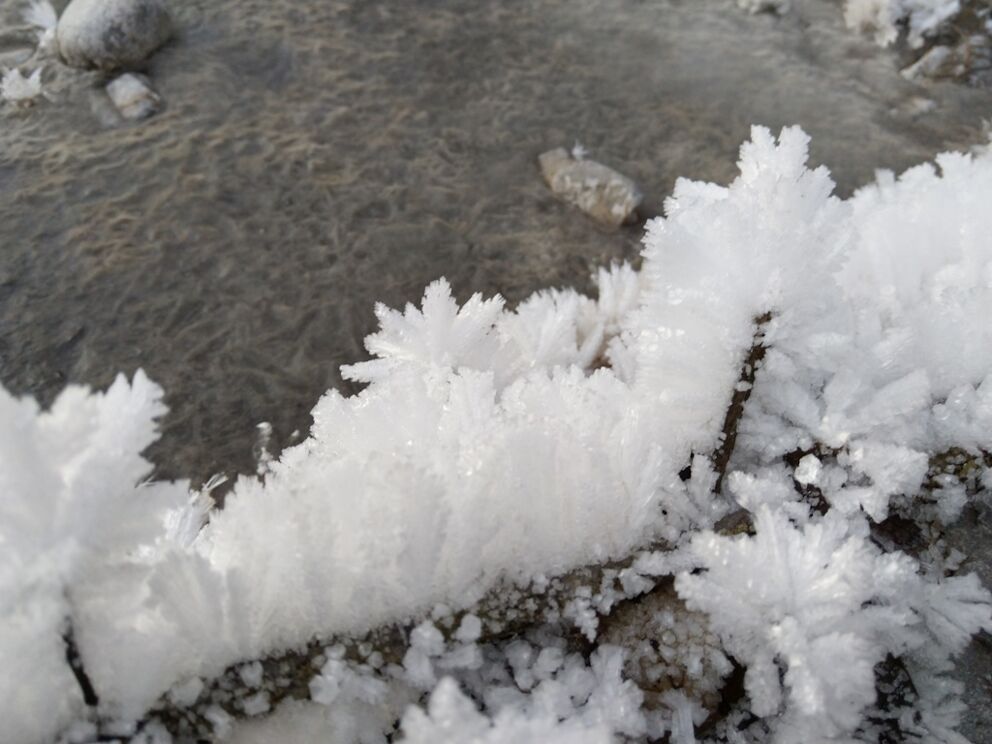 Gewaltige Eiskristalle die mehrere Zentimeter hoch werden am Schwemmholz entlang den Lechwegschleifen.