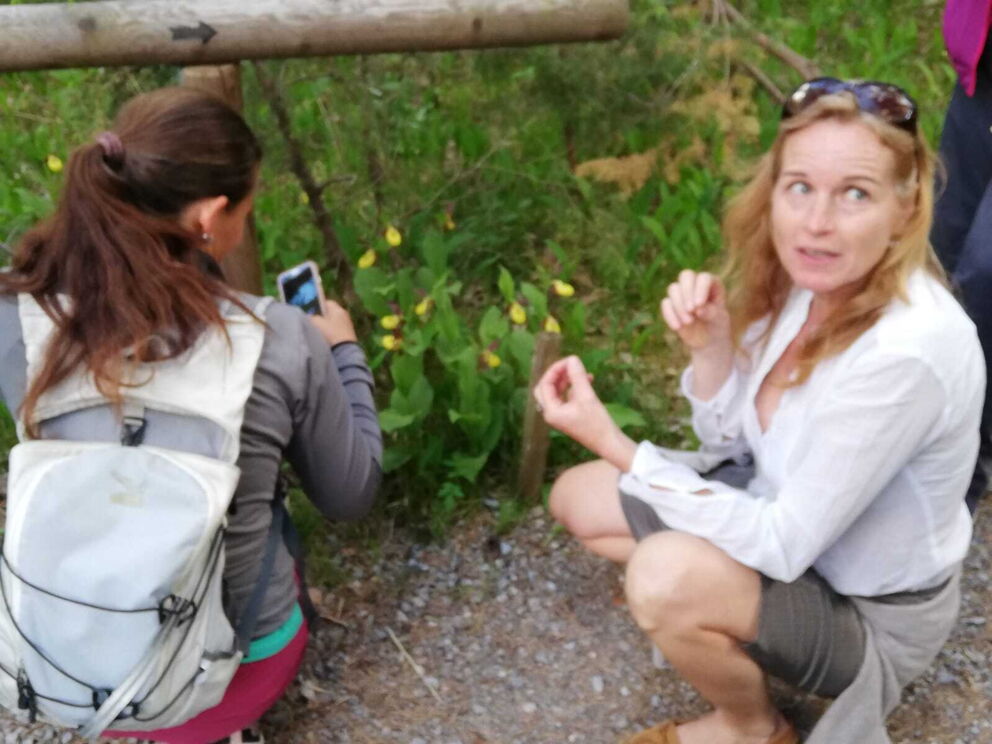 Mit guter Führung durch die Angelegte Orchideenwanderung in Martinau.