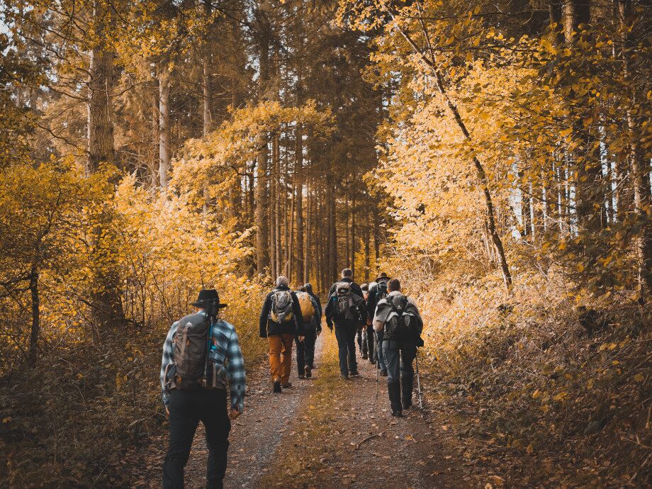 Mit den Wanderfreunden durch den herbstlichen Wald spazieren.