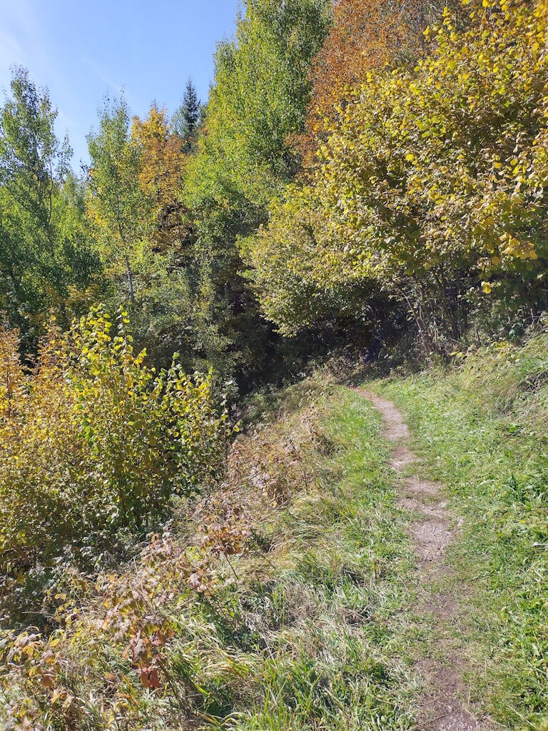 Wandern mit der Dorfstube an schönen Herbsttagen im Naturpark-Lechtal.