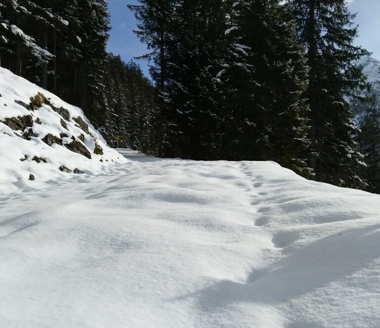 Winterwandern mit Schneeschuhen bei strahlendem Sonnenschein.