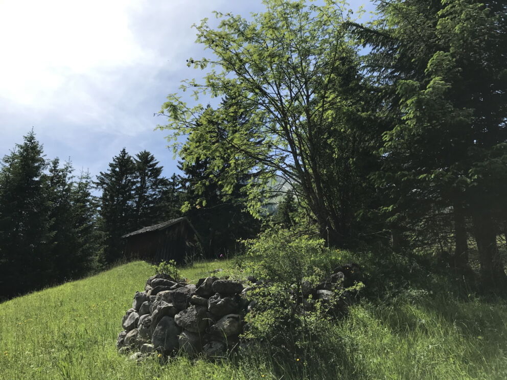 Wandern im Lechtal vorbei an alten Heupill-Fundamenten.