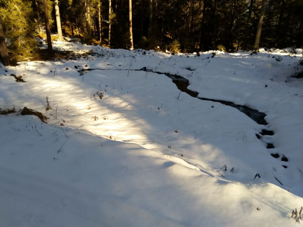 Das Wasser bahnt sich seinen Weg durch den Schnee.