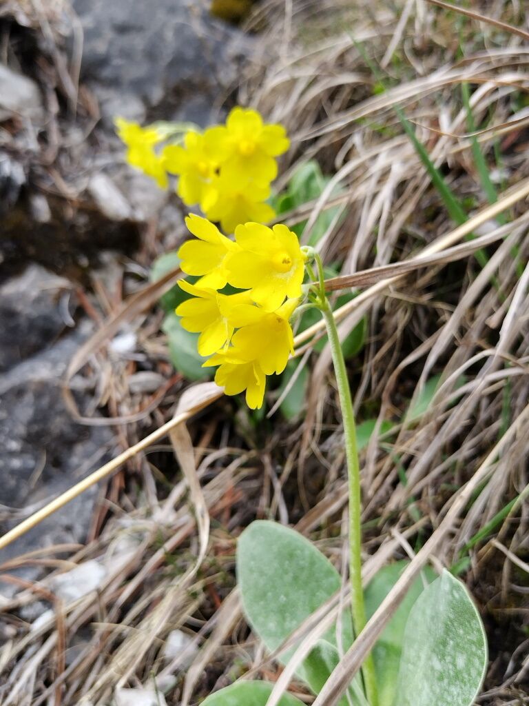 Übernachten in der Dorstube und Platenigel bei Hochgebirgswanderung entdecken.