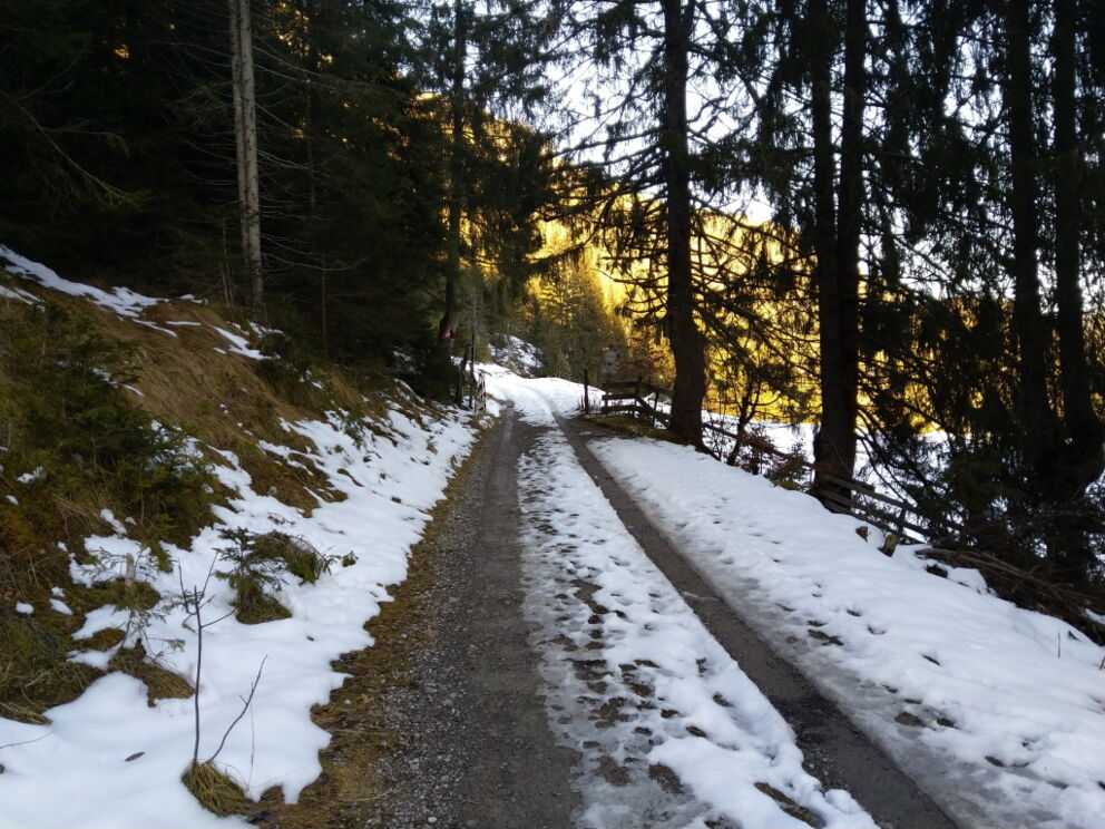 Große Vorwinterwanderung im Naturpark Lechtal zum Höhenweg-Baichlstein.