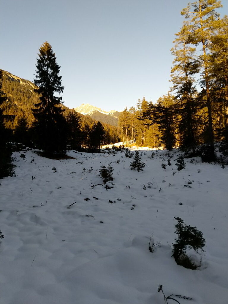 Vom Plateau aus ist es nicht mehr weit zum Ziel, der Baichlsteinrunde.