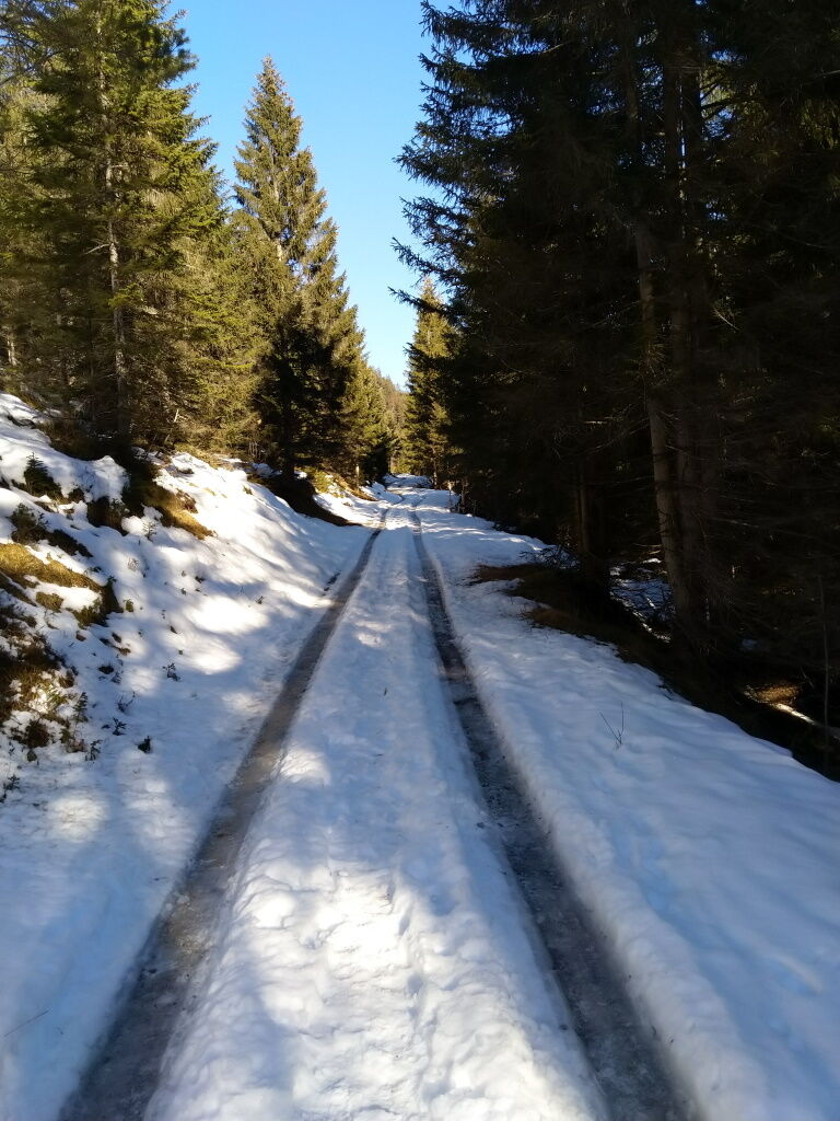 Wandern auf der schneebedeckten Forststraße mit eisiger Fahrspur.