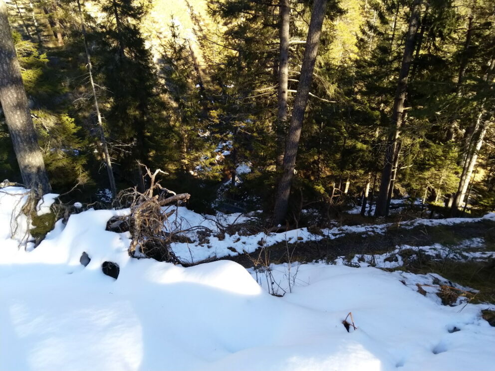 Ein Serpentinenabstieg auf dem Höhenweg Baichlstein.