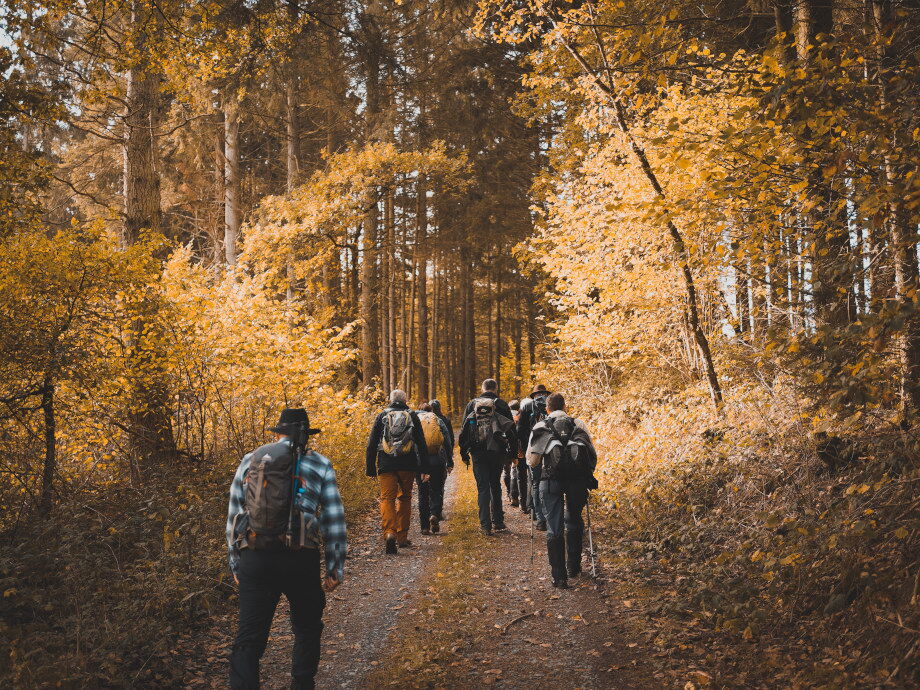 Mit den Wanderfreunden durch den herbstlichen Wald spazieren.