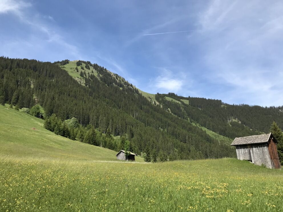 Mit den Lechtaler-Kräuterhexen die Flora und Fauna erkunden.