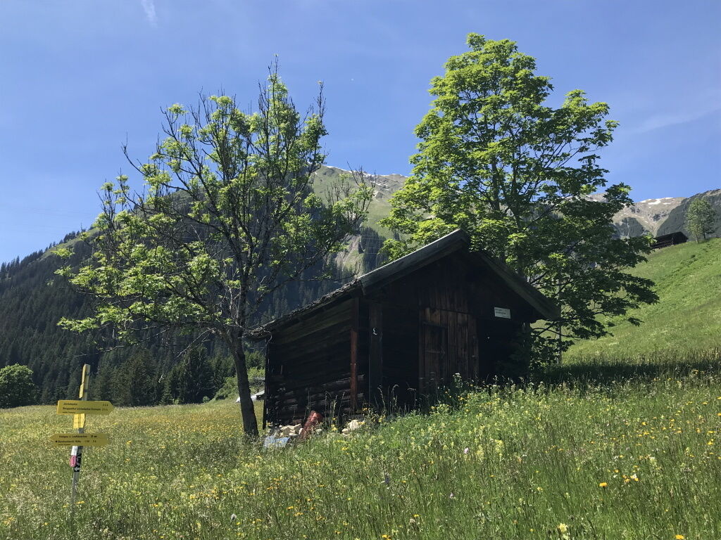 Entlang den Kräuterwiesen und vorbei an vielen Heupiller im Lechtal, bis rauf zur Jöchelspitze im Frühsommer.