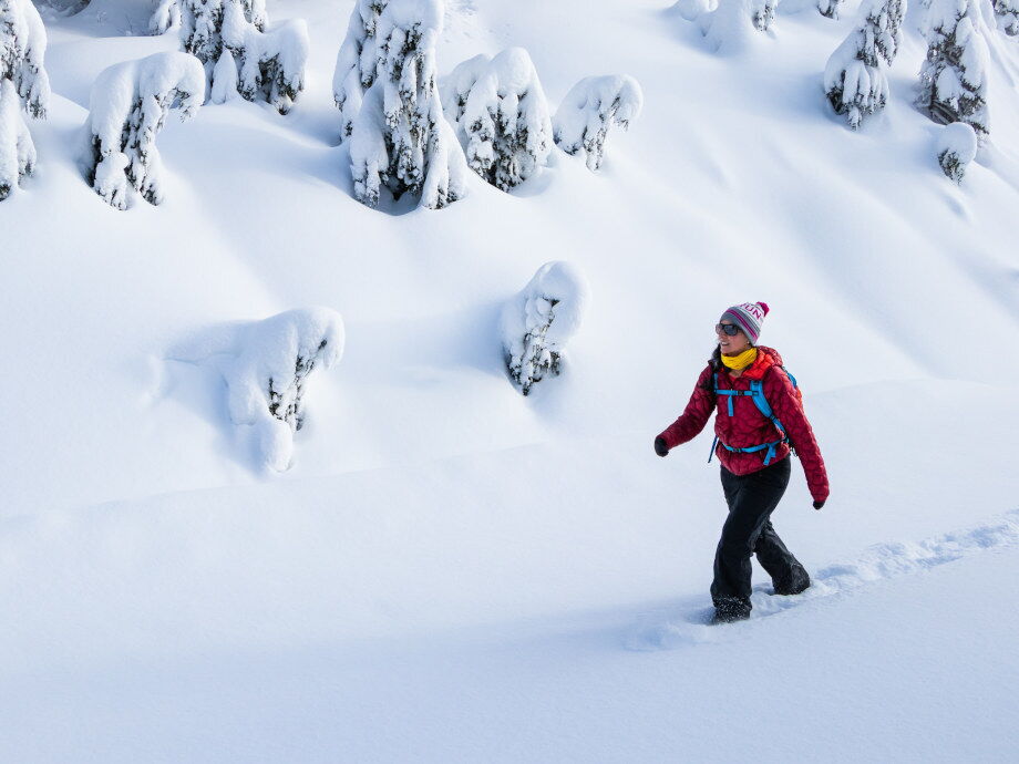Winterwandern und im Schneestapfen.